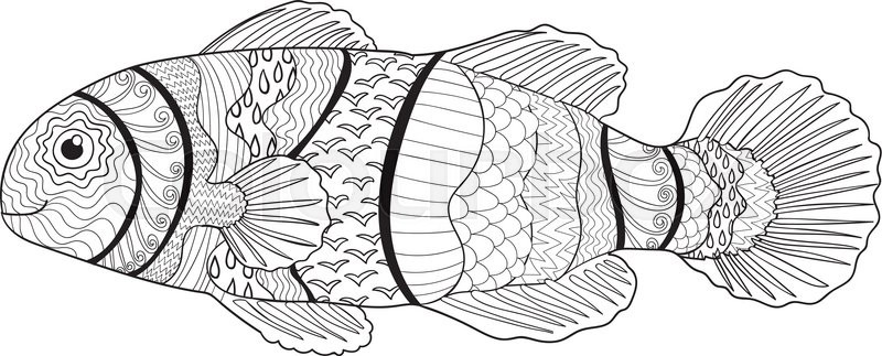 800x323 Clownfish With High Details. Adult Antistress Coloring Page. Black - Clown Fish Sketch