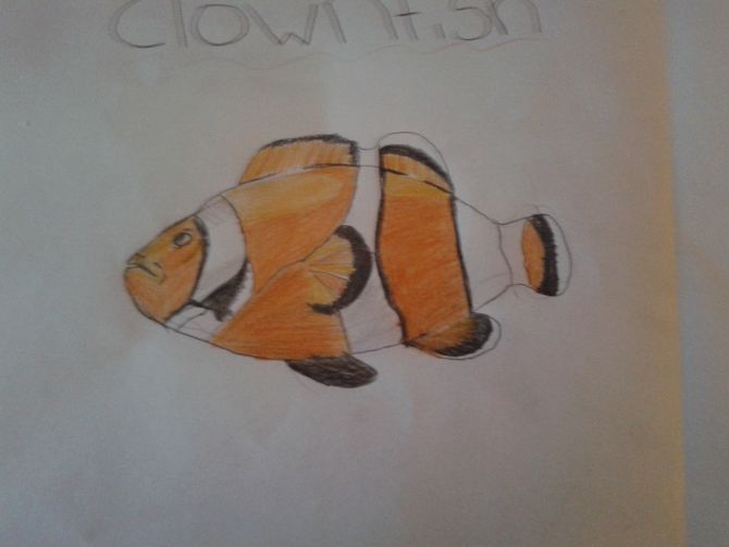 670x503 How To Draw A Clownfish 9 Steps (With Pictures) - Clown Fish Sketch
