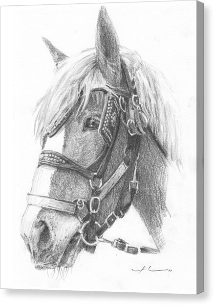 438x622 Clydesdale Horse Pencil Portrait Drawing By Mike Theuer - Clydesdale Sketch