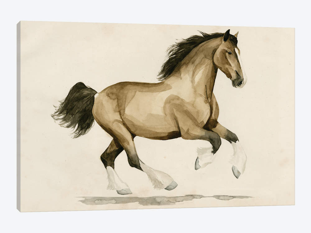 1000x750 Clydesdale I Art Print By Grace Popp Icanvas - Clydesdale Sketch