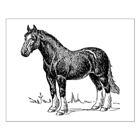 460x460 Clydesdale Posters - Clydesdale Sketch