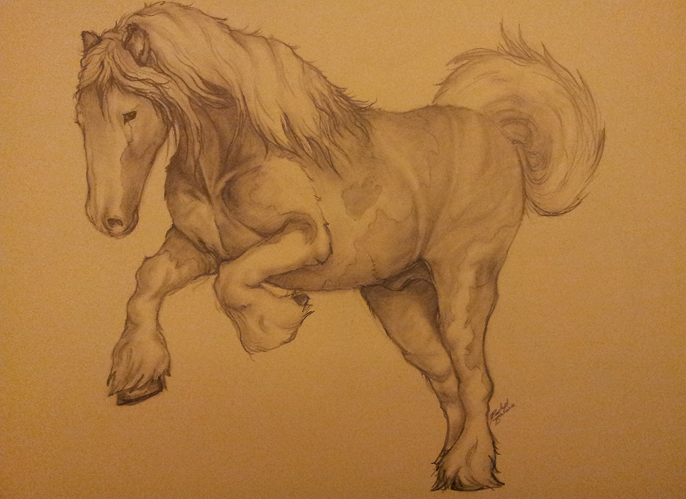 979x712 Clydesdale Sketch By Demite - Clydesdale Sketch