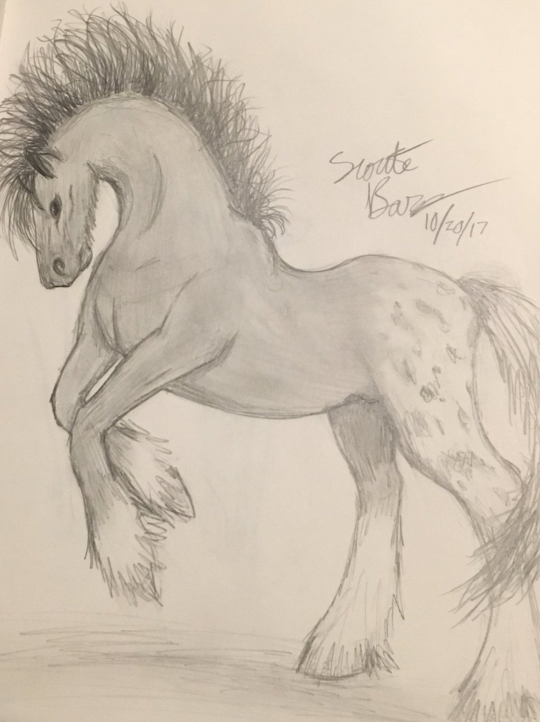 773x1033 Clydesdale Sketch By Scoute248 - Clydesdale Sketch