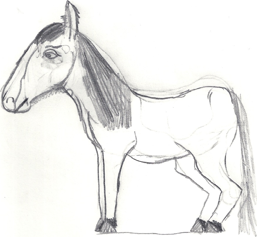 875x808 Clydesdale Sketch By Neokasey82 - Clydesdale Sketch