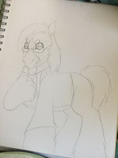 384x512 Clydesdale Sketch Aj Amino Amino - Clydesdale Sketch