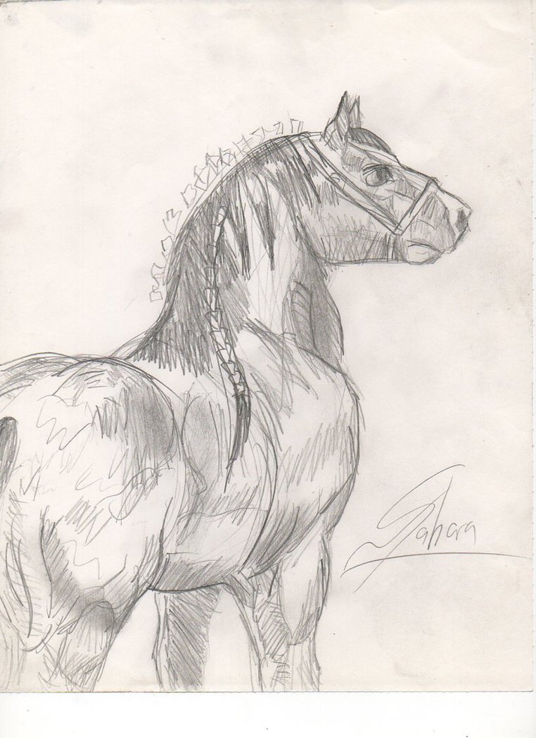 762x1049 Clydesdale Sketch By Captain Ladue - Clydesdale Sketch