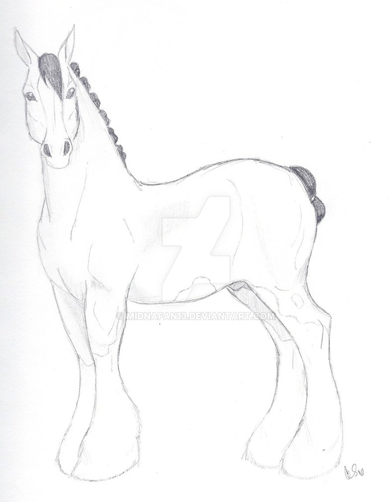 790x1012 Clydesdale Sketch By Midnafan13 - Clydesdale Sketch