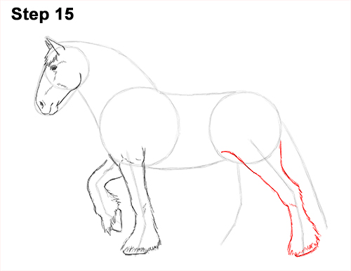 500x386 How To Draw A Horse (Clydesdale Or Shire) - Clydesdale Sketch