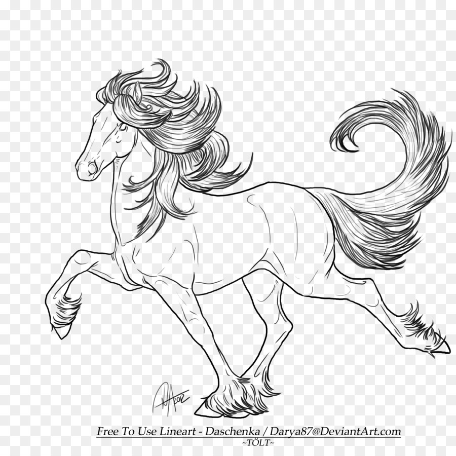 900x900 Icelandic Horse Fjord Horse Clydesdale Horse Line Art Drawing - Clydesdale Sketch
