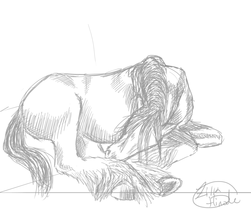 800x667 Red - Clydesdale Sketch