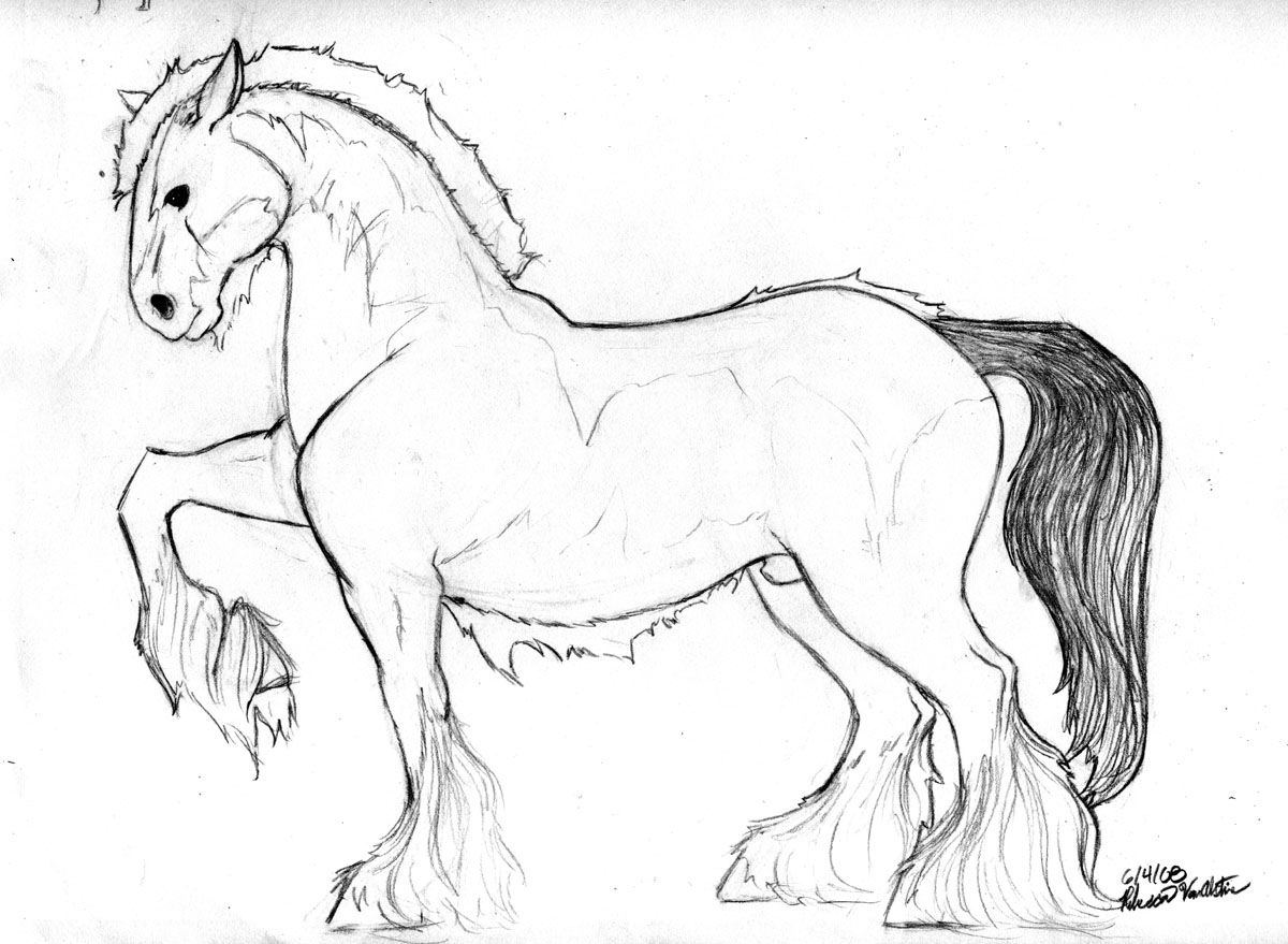 1200x879 Clydesdale Drawing - Clydesdale Sketch