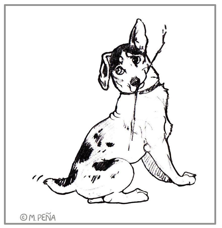 881x906 Little Dog W Stick Coa Sketch By Reptangle - Coa Sketch