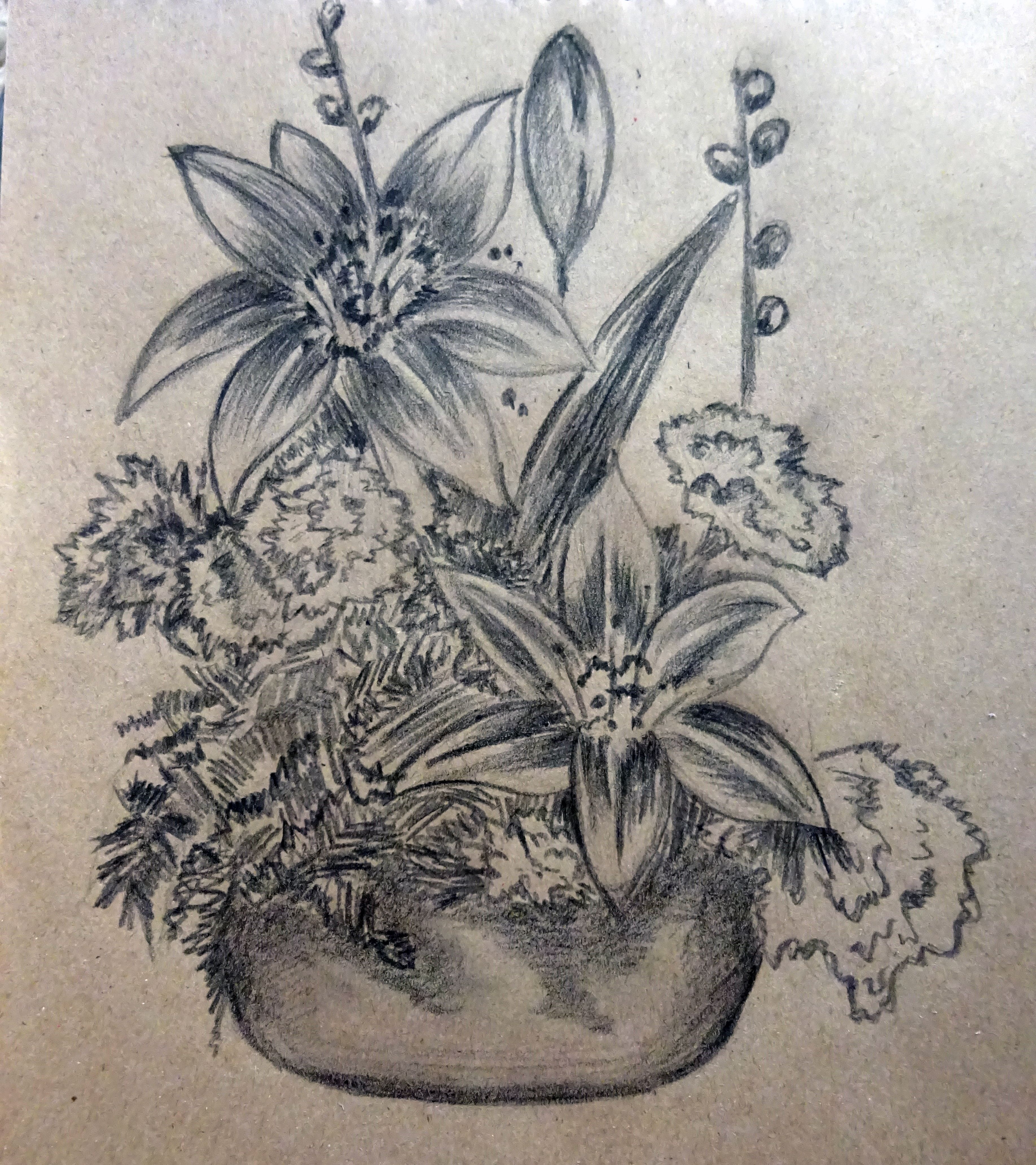3672x4128 Sketches With Coal. The Best Way To Relax! My Flowers Steemit - Coal Sketches