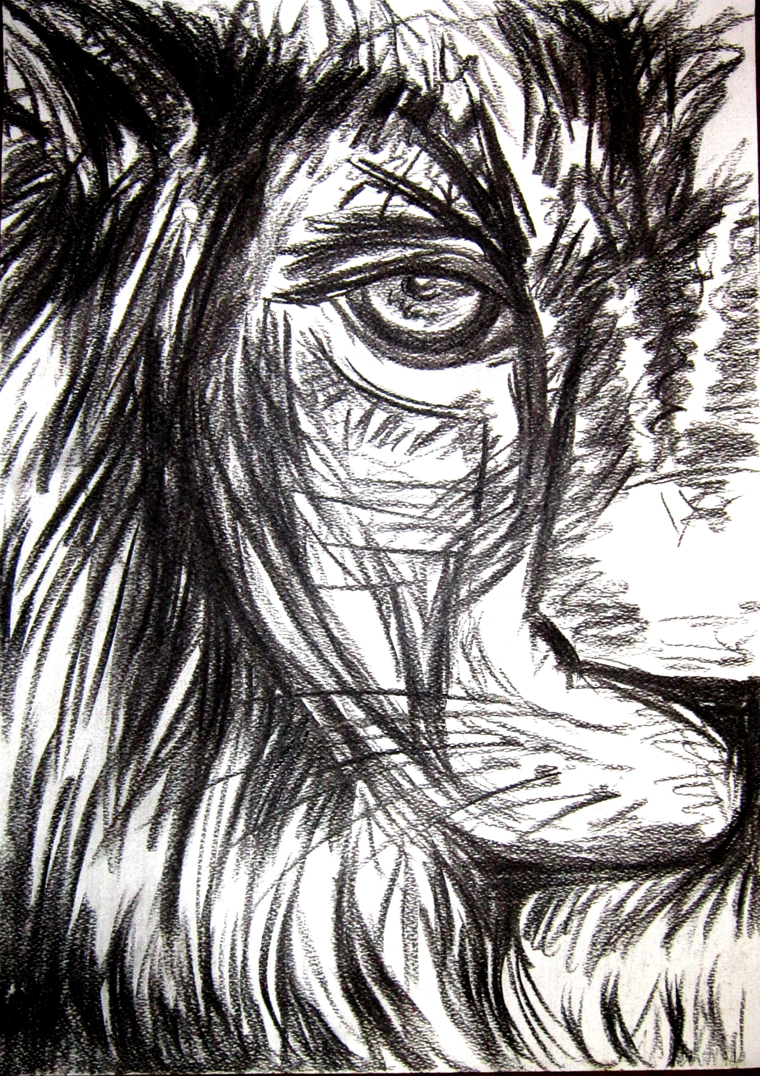 2880x4080 Lion Coal Drawing Art Drawings, Art And My Arts - Coal Sketches