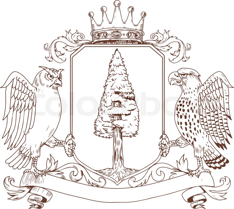 800x716 Drawing Sketch Style Illustration Of Coat Of Arms Showing An Owl - Coat Of Arms Sketch
