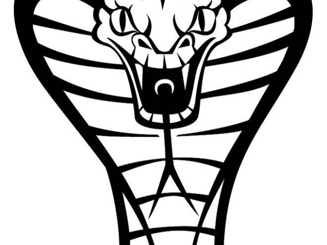 640x480 Drawn Cobra Art - Cobra Head Sketch