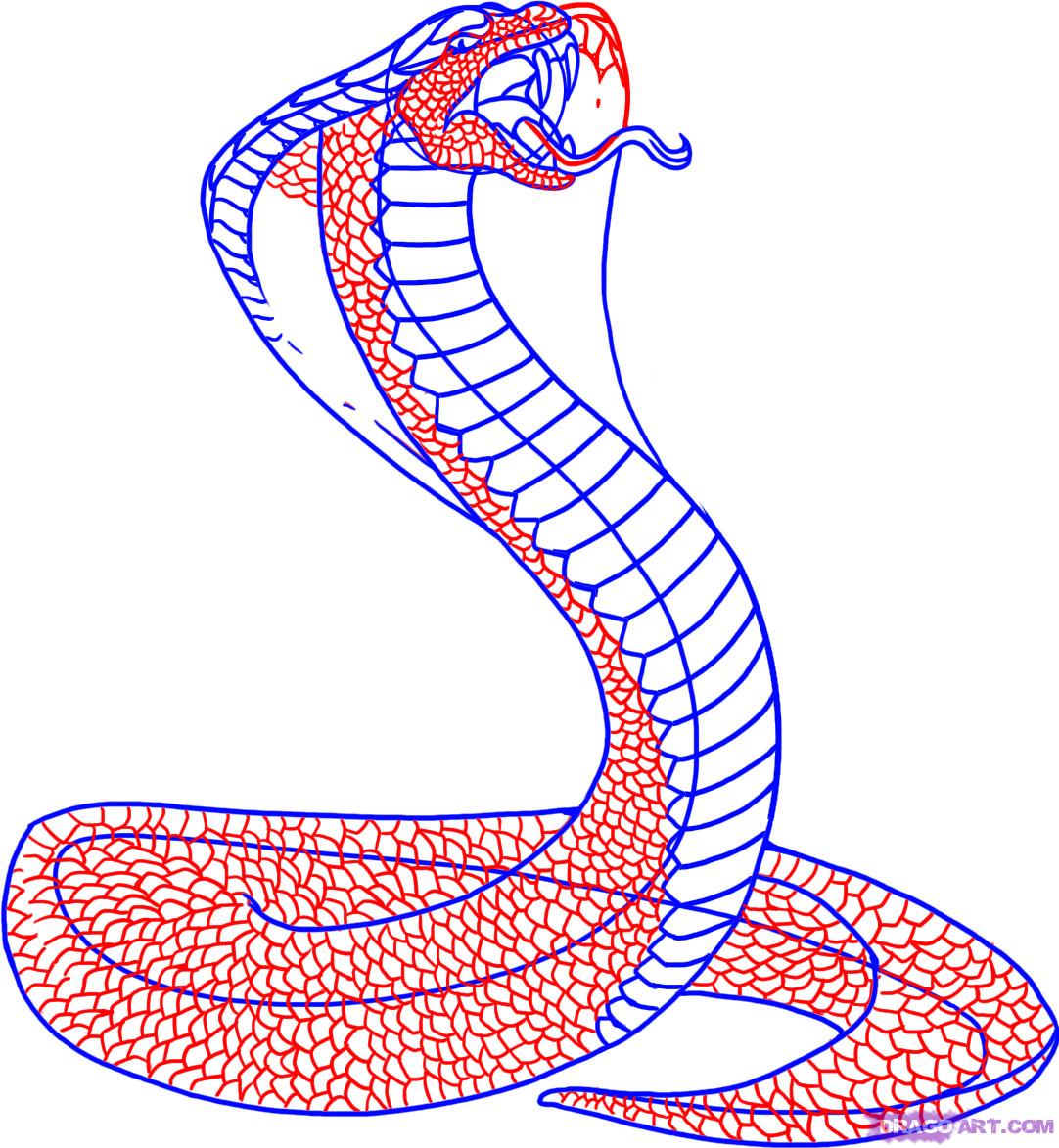Легкая змейка. Референсы змеи Кобра. Змея референс. Кобра рисунок карандашом. Рисование змеи.