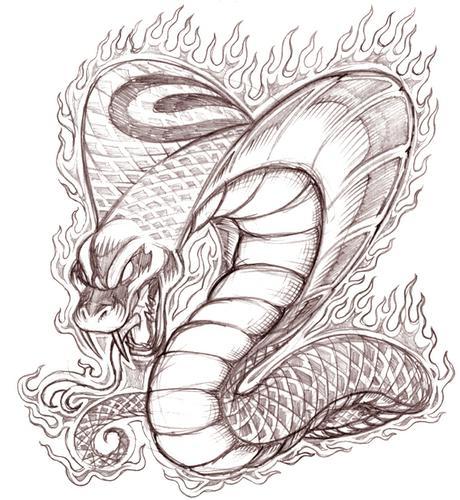 460x500 King Cobra Head Drawing - Cobra Head Sketch