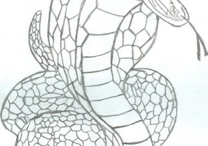 300x210 King Cobra Sketch King Cobratherisingsoul - Cobra Head Sketch