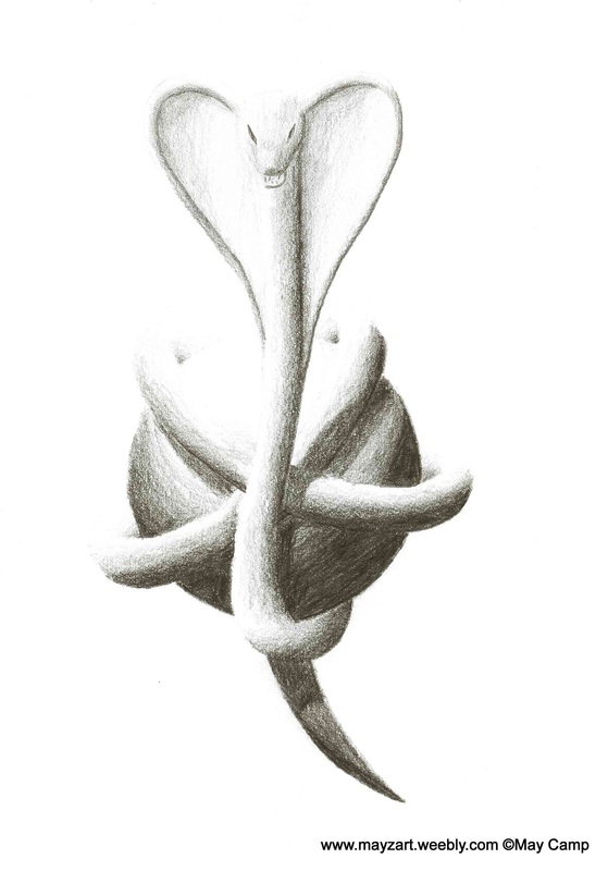 559x800 Snake (Cobra) And Orb 4 - Cobra Head Sketch