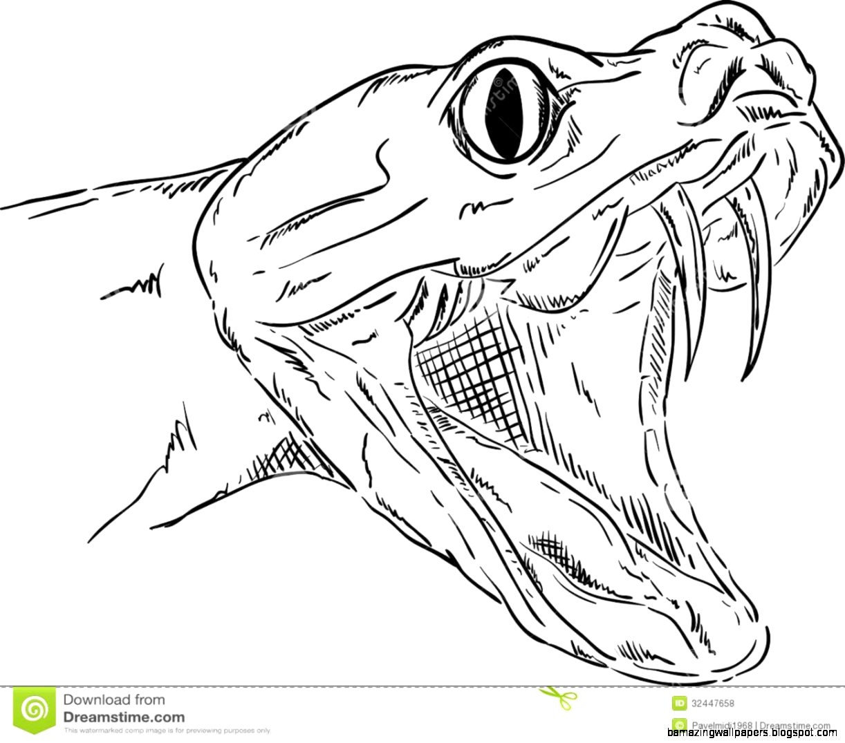 1222x1075 Snake Head Royalty Free Stock Photos Image 32447658 15 Drawing - Cobra Head Sketch