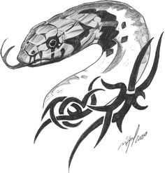 236x247 The 41 Best Cobra Head Tattoo Drawings Images - Cobra Head Sketch