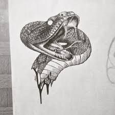 225x225 Drawings Of Reptiles Drawings I Like Tattoos - Cobra Head Sketch