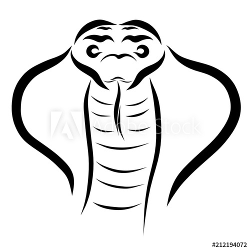 500x500 Cobra With Sticking Out Tongue, Head, Sketch With Black Lines - Cobra Head Sketch
