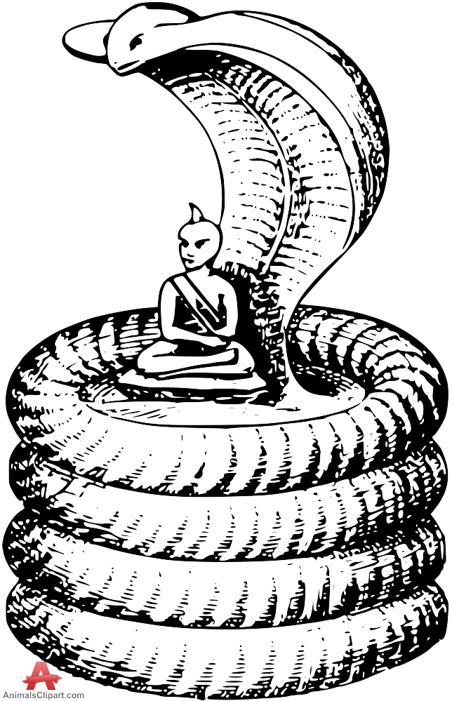 644x999 Drawn Cobra Sketch 3289720 - Cobra Sketch