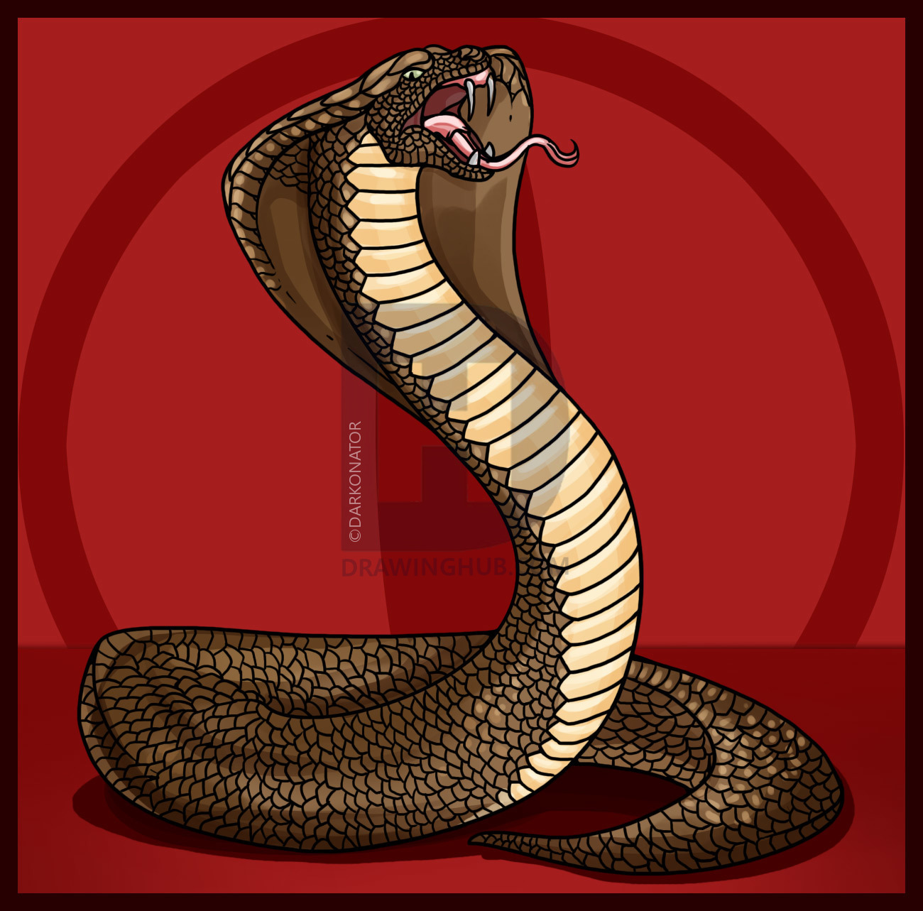 1300x1283 How To Draw A Snake, King Cobra, Step By Step, Drawing Guide, By - Cobra Sketch