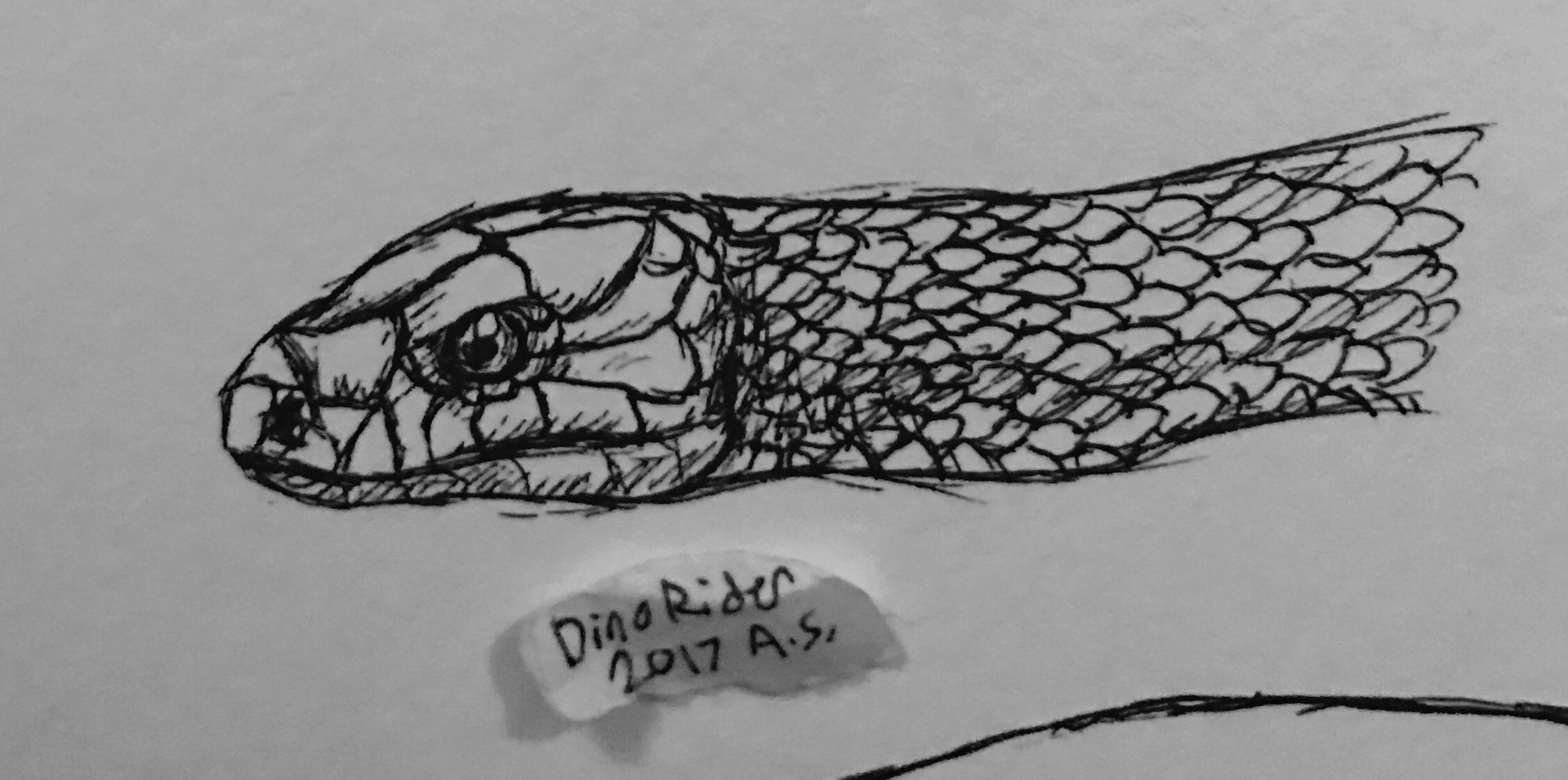 1920x956 Autumn Schneider - Cobra Sketch