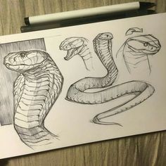 236x236 Snake Sketch Turn This Into A Tattoo By Having The Tail Wrap - Cobra Sketch