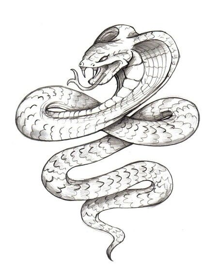 450x570 Cobra Sketch Snake Tattoos Snake Tattoo, Tattoos - Cobra Sketch