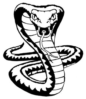 300x345 King Cobra Snake Drawings Cobra Snake Drawing - Cobra Snake Sketch