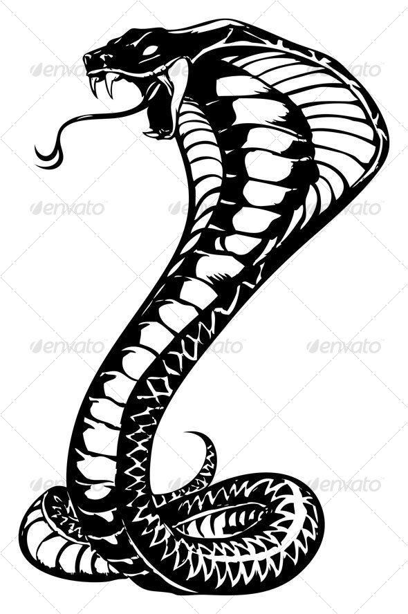 590x888 Pin By Percetakan Karanganyar On Brosur Snake Tattoo - Cobra Snake Sketch