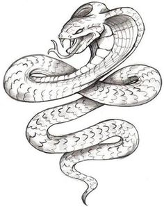 236x298 Snake Sketch Turn This Into A Tattoo By Having The Tail Wrap - Cobra Snake Sketch