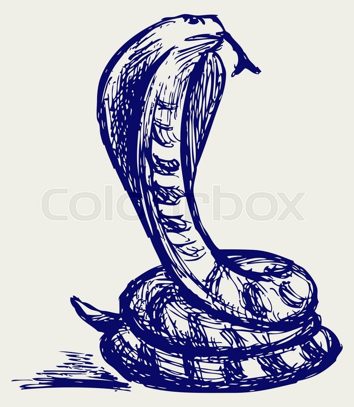 696x800 Snake Sketch. Vector Illustration Stock Vector Colourbox - Cobra Snake Sketch
