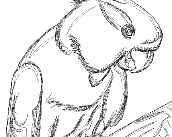 600x479 Cockatoo Vector Drawing On Behance - Cockatoo Sketch