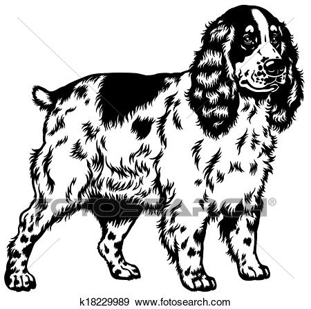 450x447 Cocker Spaniel Clipart Sketch - Cocker Spaniel Sketch