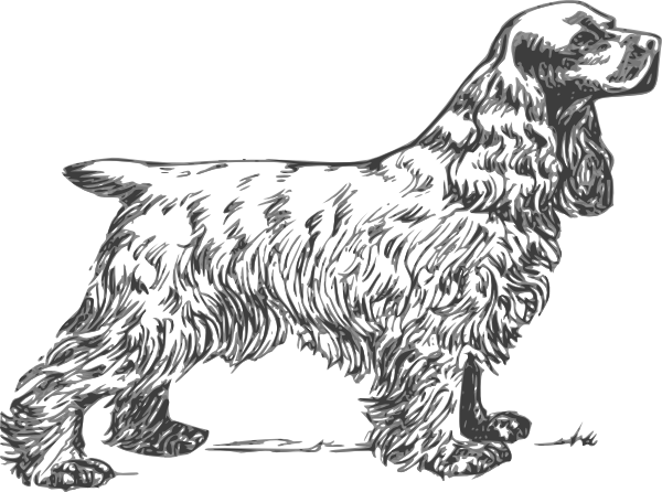 600x446 Cocker Spaniel Clipart Sketch 2 - Cocker Spaniel Sketch