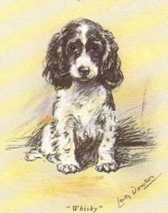 336x426 Cocker Spaniel Vintage Dog Art Prints, Gifts And Artwork From - Cocker Spaniel Sketch