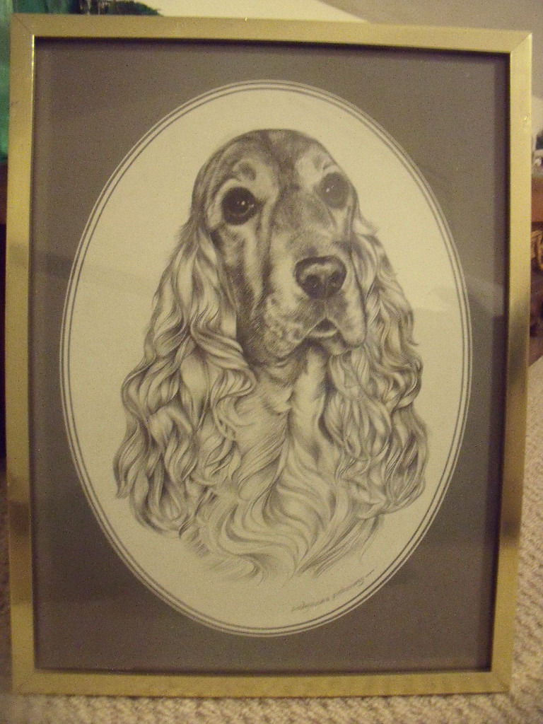 768x1024 Framed Pollyanna Pickering Black Amp White Pencil Sketch Of Cocker - Cocker Spaniel Sketch