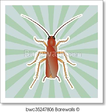 Cockroach Sketch