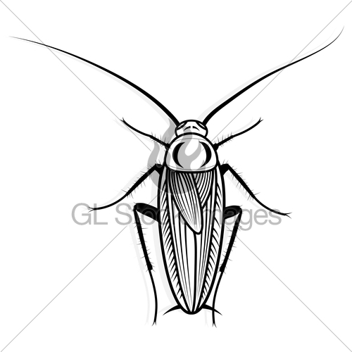 500x500 Cockroach Vector Design Vector Animal Illustration For T Gl - Cockroach Sketch