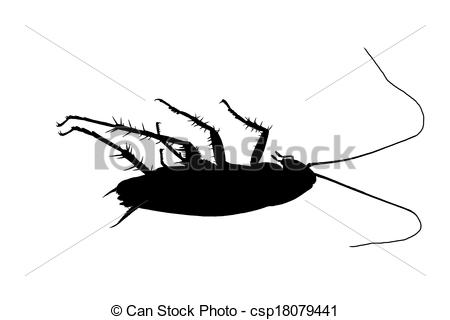 450x320 Cockroach Clipart Sketch - Cockroach Sketch