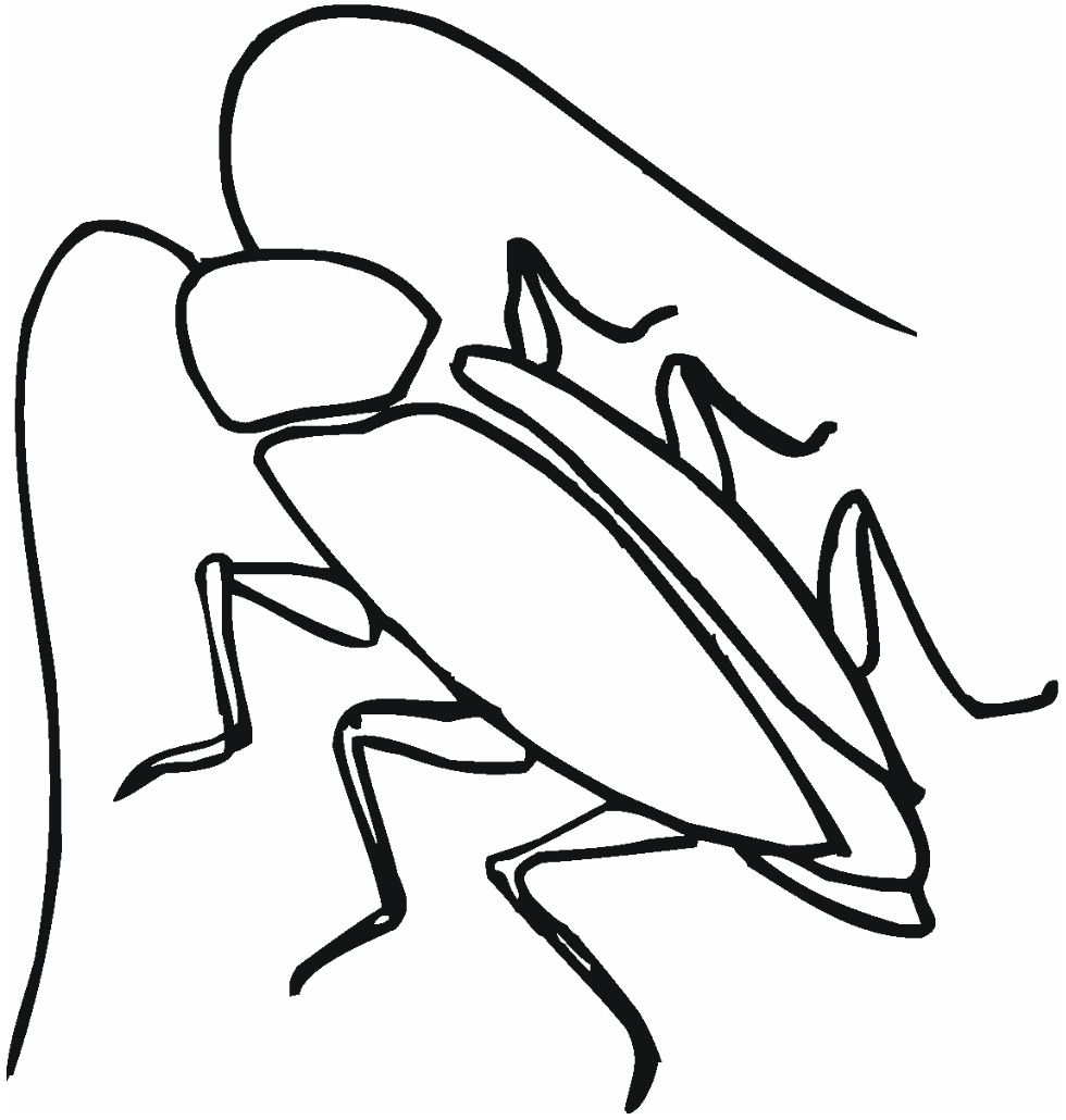 980x1030 Cockroach Clipart Sketch - Cockroach Sketch