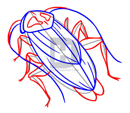 555x480 How To Draw A Cockroach, Step By Step, Drawing Guide, By - Cockroach Sketch