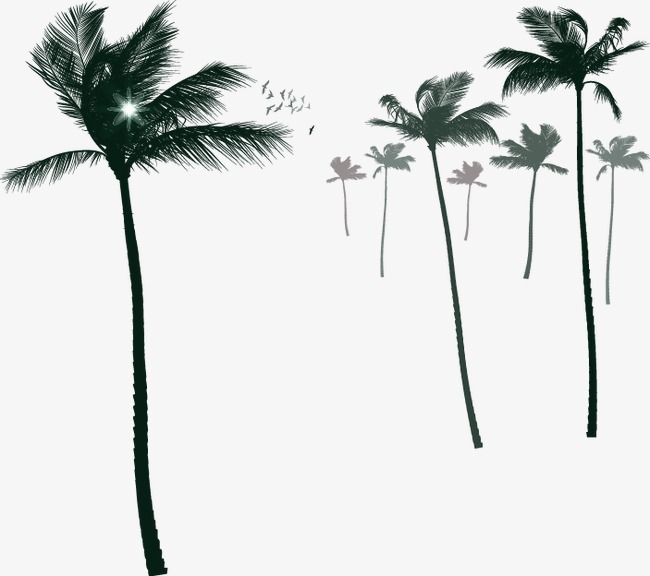 650x576 Cartoon Palm Silhouette, Cartoon, Coco, Sketch Png And Vector For - Coco Sketch