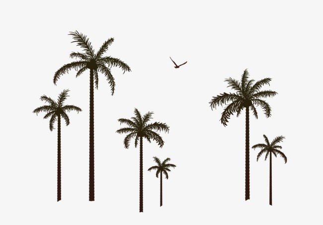 650x453 Coco, Sketch, Plant Png And Vector For Free Download - Coco Sketch
