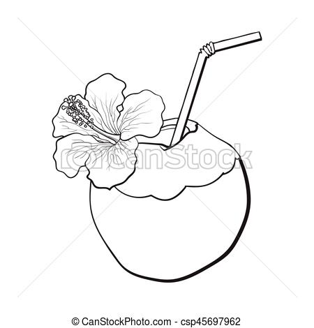 450x470 Coconut Cocktail, Drink Decorated With Hibiscus Flower, Summer - Coconut Sketch